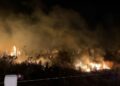 Hay cinco personas detenidas durante este año por provocar incendios: gobernador