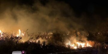 Hay cinco personas detenidas durante este año por provocar incendios: gobernador
