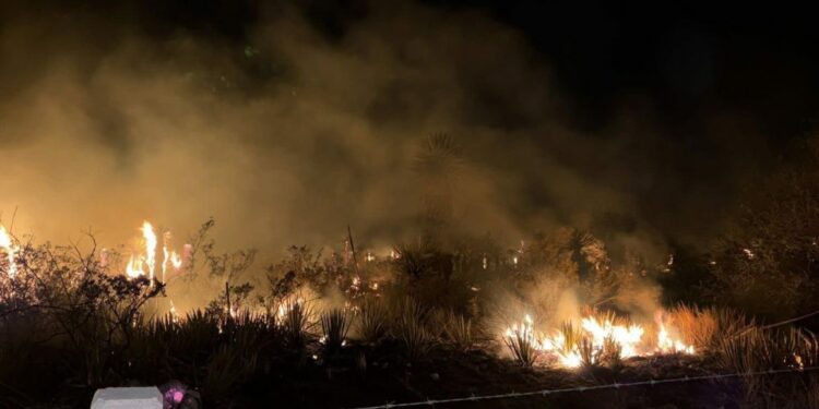 Hay cinco personas detenidas durante este año por provocar incendios: gobernador