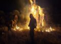 Incendio en Camino a Palomas moviliza a cuerpos de emergencia en SGS