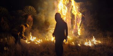 Incendio en Camino a Palomas moviliza a cuerpos de emergencia en SGS