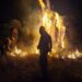 Incendio en Camino a Palomas moviliza a cuerpos de emergencia en SGS