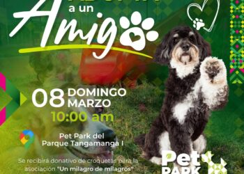 Anuncian actividades gratuitas en el Tangamanga I