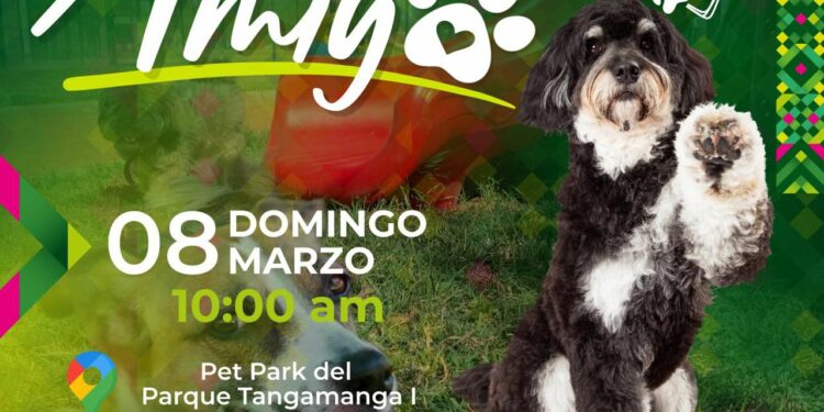 Anuncian actividades gratuitas en el Tangamanga I
