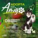 Anuncian actividades gratuitas en el Tangamanga I
