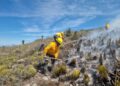 Registran 47 incendios forestales en SLP durante los primeros dos meses del año