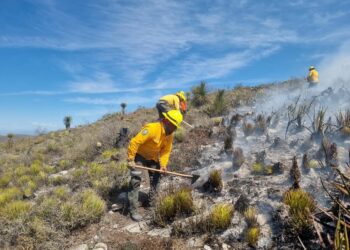 Registran 47 incendios forestales en SLP durante los primeros dos meses del año