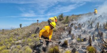 Registran 47 incendios forestales en SLP durante los primeros dos meses del año