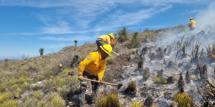 Registran 47 incendios forestales en SLP durante los primeros dos meses del año