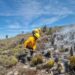 Registran 47 incendios forestales en SLP durante los primeros dos meses del año