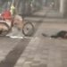 Tamalero moviliza a cuerpos de emergencia en avenida Carranza