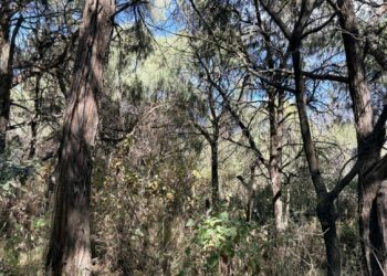Advierten riesgo ambiental por detonaciones en Los Matías