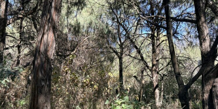Advierten riesgo ambiental por detonaciones en Los Matías