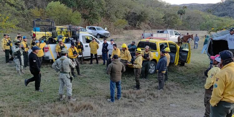 Continúan labores para controlar incendio forestal en Francia Chica, Ciudad del Maíz