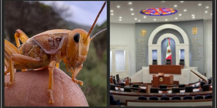 Aprueban “chapulineo” legislativo en SLP pese a críticas y rechazo ciudadano