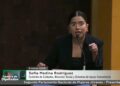 Estudiante potosina participa en Parlamento Nacional de Mujeres Jóvenes con propuesta sobre cuidados