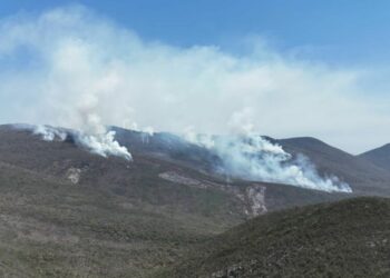 Reportan 80% de control en incendio forestal de Francia Chica; continúan labores de combate