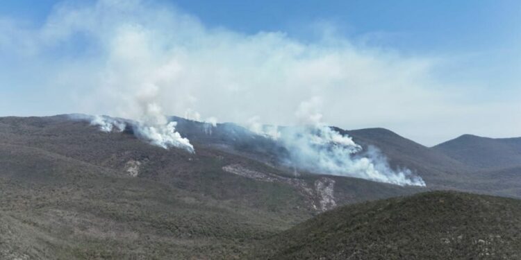 Reportan 80% de control en incendio forestal de Francia Chica; continúan labores de combate