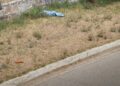 Descartan hallazgo de menor en Río Santiago; era el cuerpo de un perro
