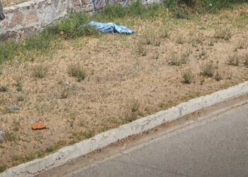 Descartan hallazgo de menor en Río Santiago; era el cuerpo de un perro