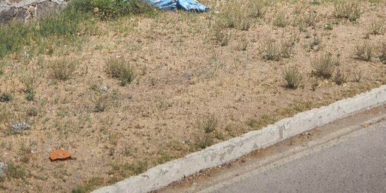Descartan hallazgo de menor en Río Santiago; era el cuerpo de un perro