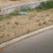 Descartan hallazgo de menor en Río Santiago; era el cuerpo de un perro