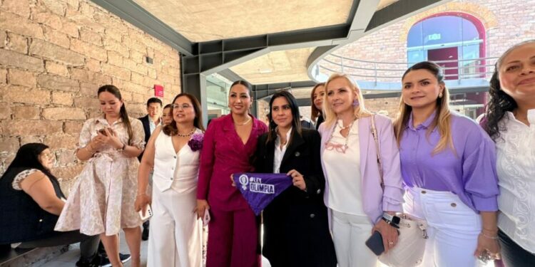 En SLP hay espacios digitales donde hay violencia sexual contra mujeres: Olimpia Coral