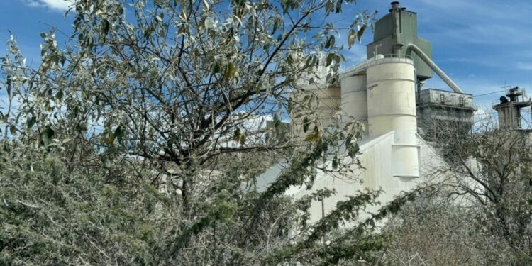 Legisladora solicita información a autoridades por condiciones en Los Matías