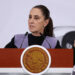 Sheinbaum confirma que la mujer que tomaba el sol en Palacio Nacional era real; ¿cuál fue su sanción?
