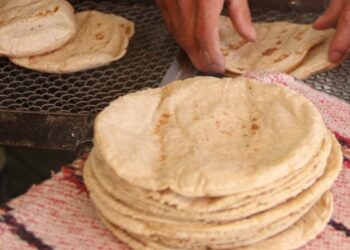Ciencia revela por qué guardar las tortillas en plástico puede afectar su calidad y duración