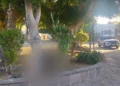 Localizan a mujer sin vida en el jardín de San Sebastián