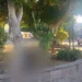 Localizan a mujer sin vida en el jardín de San Sebastián