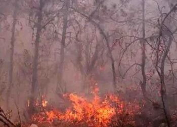 Advierten sanciones de hasta 15 años de prisión por provocar incendios forestales en SLP