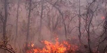 Advierten sanciones de hasta 15 años de prisión por provocar incendios forestales en SLP