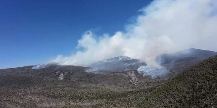 Incendio en Ciudad del Maíz cumple cinco días activo; reportan 425 hectáreas afectadas
