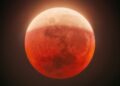 ¡La luna de sangre es hoy! UAM revela la mejor hora para ver el eclipse lunar en México
