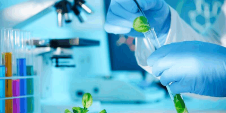 Copocyt lanza convocatoria 2026 para fortalecer la formación en ciencia, tecnología e innovación en San Luis Potosí