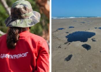 Greenpeace México responde al Gobierno Federal y aclara información sobre derrame de petróleo