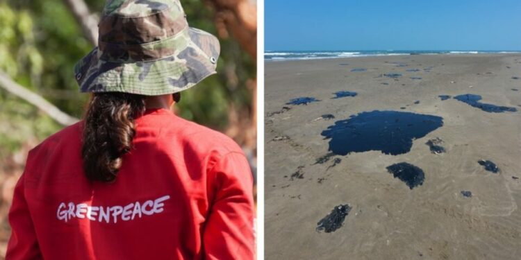 Greenpeace México responde al Gobierno Federal y aclara información sobre derrame de petróleo