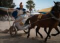 Juez ordena protección contra maltrato para caballos del Viacrucis de Iztapalapa