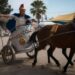Juez ordena protección contra maltrato para caballos del Viacrucis de Iztapalapa