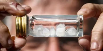 ¿Cuál es la picadura más dolorosa del mundo?