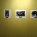 Museo Regional Potosino exhibe colección fotográfica de entre 1940 a 1950