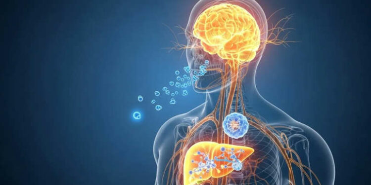 Lo que hace el paracetamol en tu cuerpo y que la mayoría desconoce