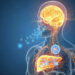 Lo que hace el paracetamol en tu cuerpo y que la mayoría desconoce