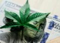 EE.UU. reclasifica la marihuana medicinal como una droga de menor riesgo
