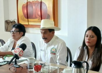 Piden nuevo decreto para regularizar vehículos “chocolate”