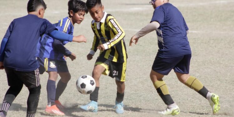 Listas las finales de la Copa Soledad Infantil