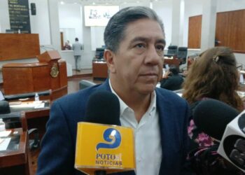 No hay indicación para buscar alianza en MC: Marco Gama