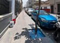 Aplican multa por daño a árbol en Centro Histórico de SLP